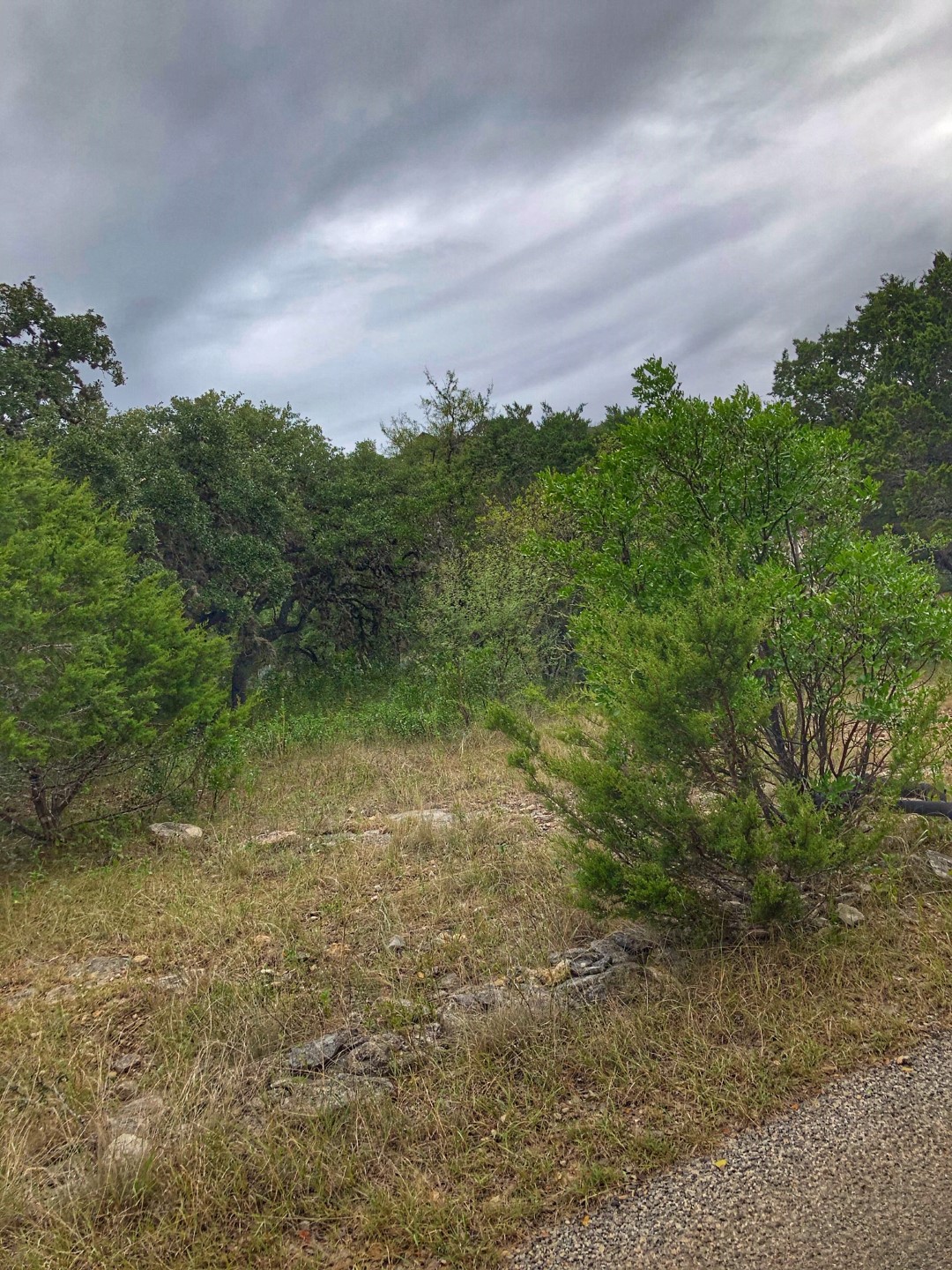 Frio River Co. Real Estate