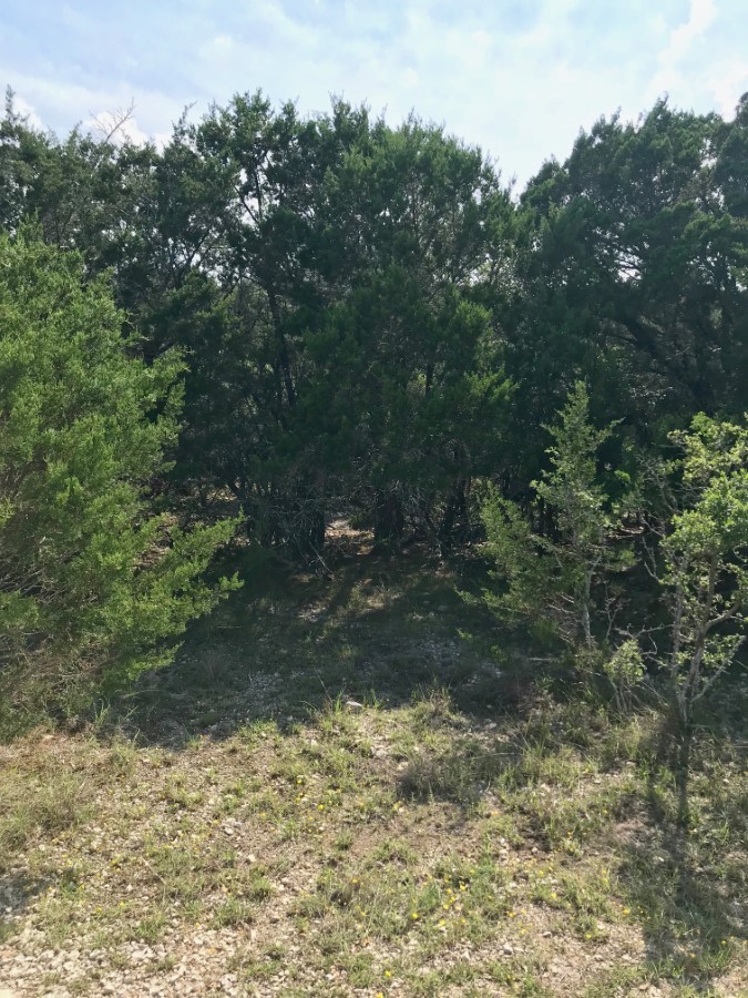 Frio River Co. Real Estate