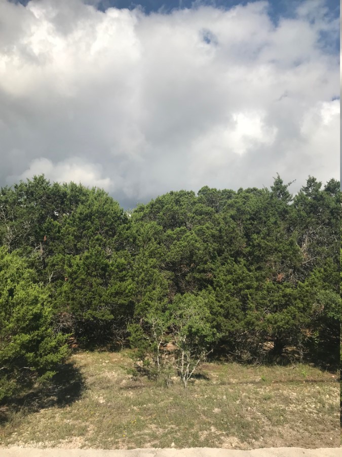 Frio River Co. Real Estate
