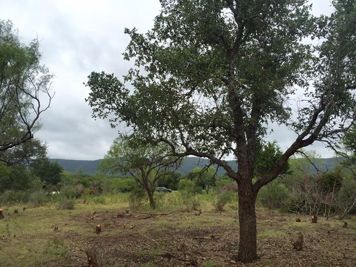 Frio River Co. Real Estate