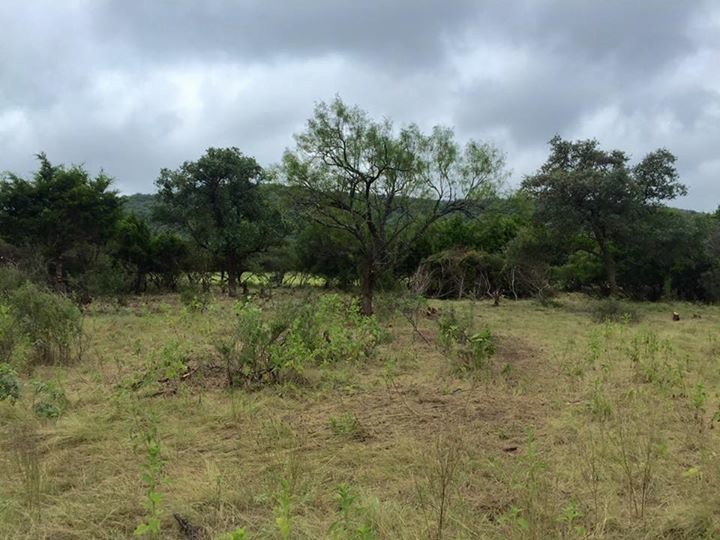 Frio River Co. Real Estate