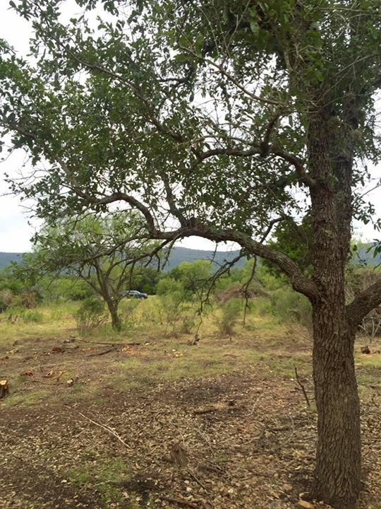 Frio River Co. Real Estate