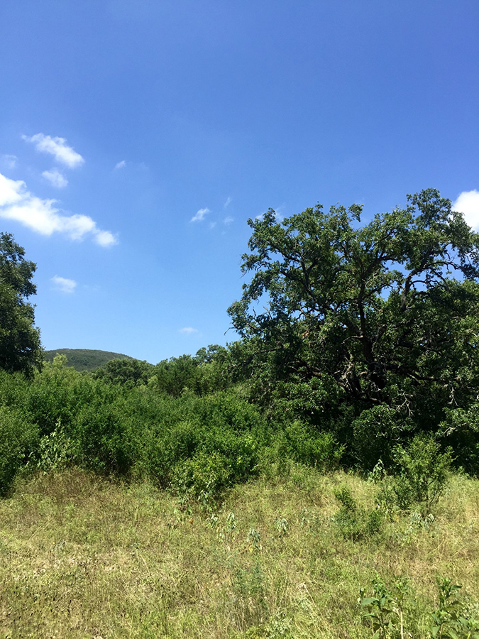 Frio River Co. Real Estate