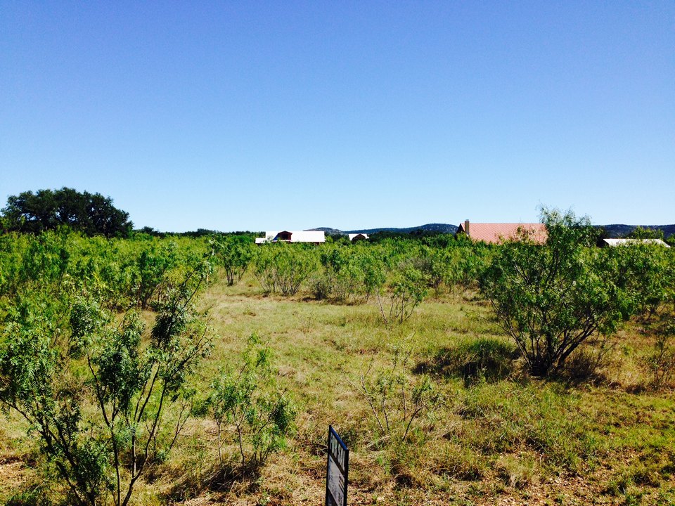 Frio River Co. Real Estate